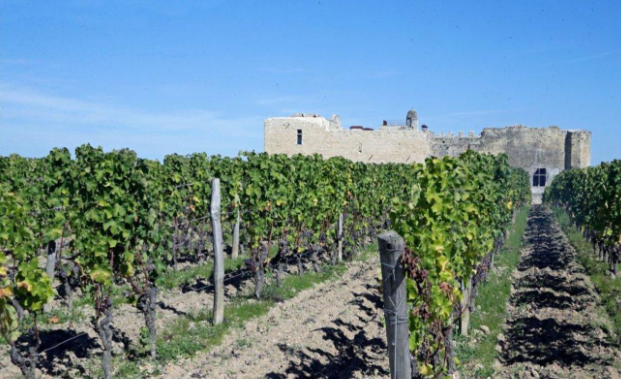 Château de Fargues
