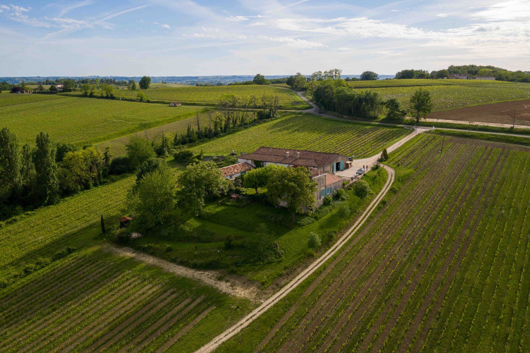 Château Robin — photo 7