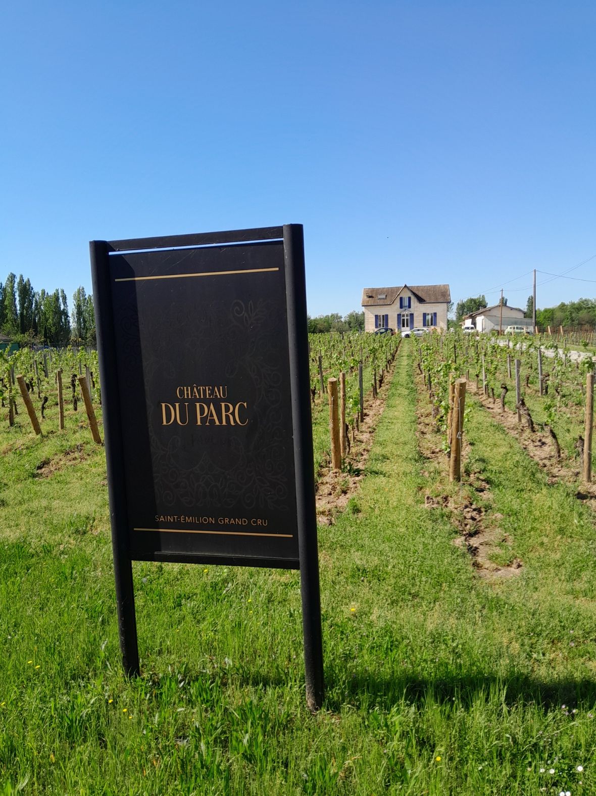 Château du Parc — photo 5