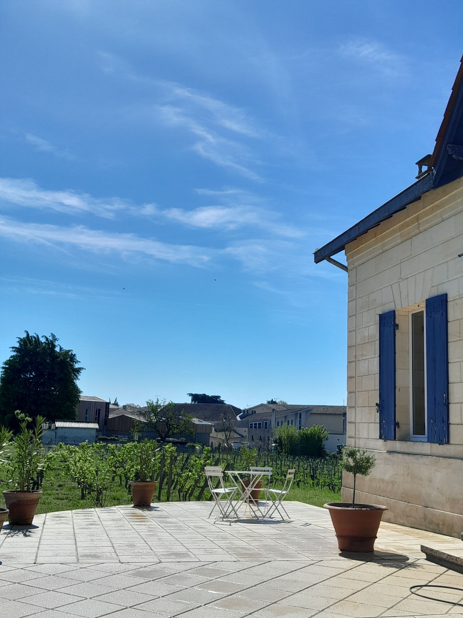 Château du Parc — photo 4
