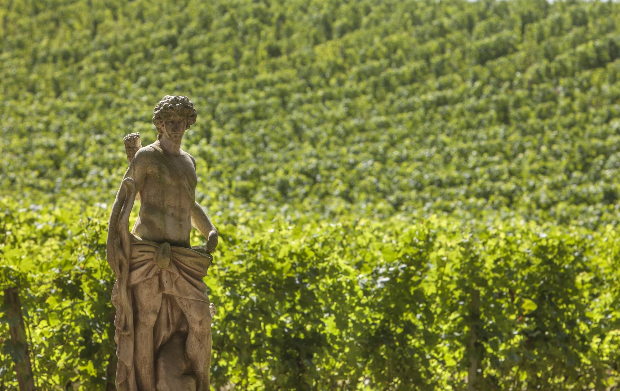 FRONSAC