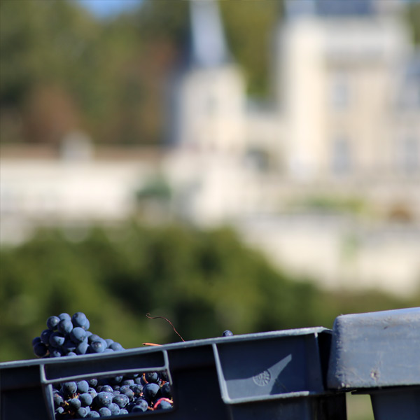 Château de la Rivière — photo 6
