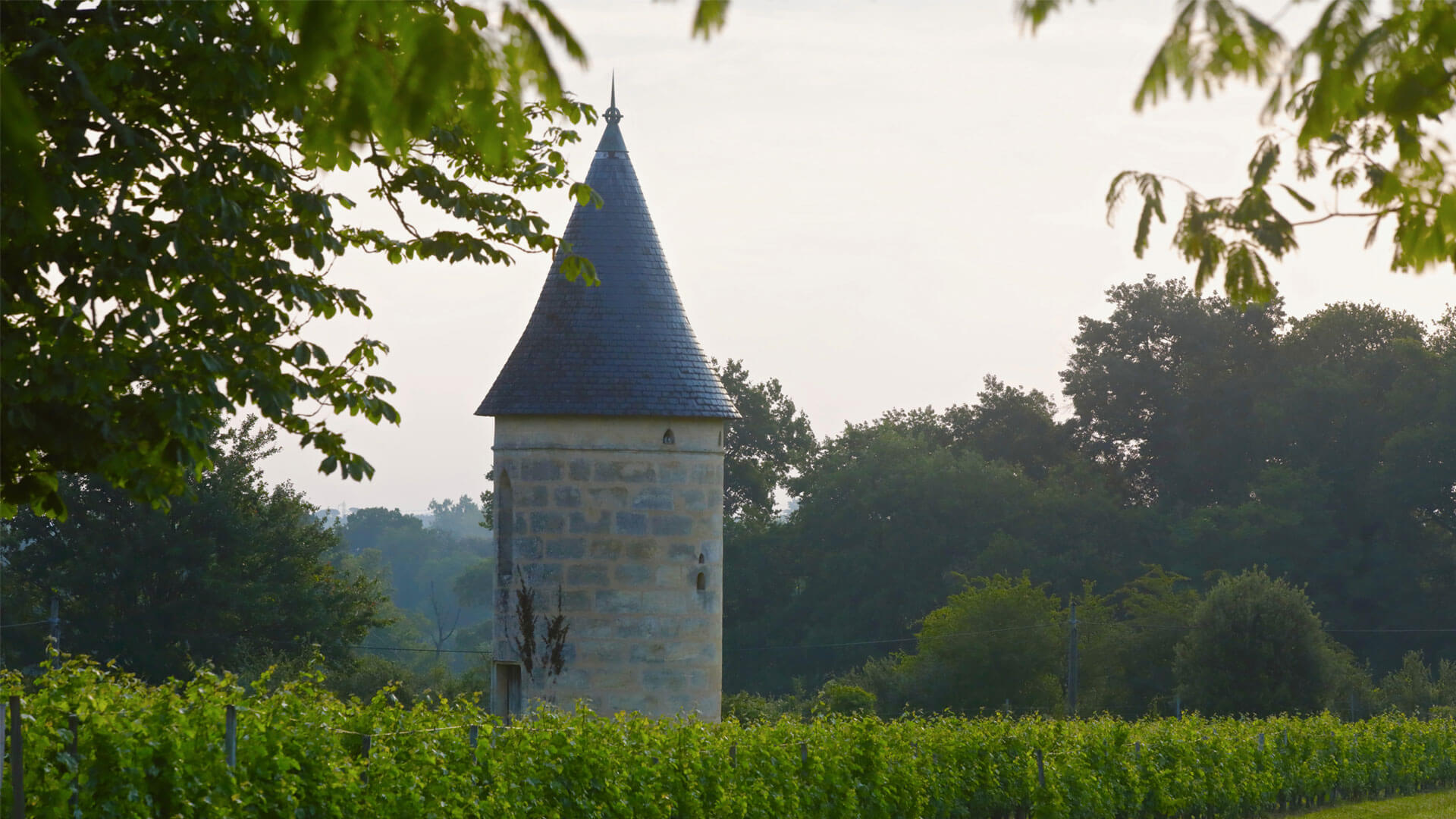 Château Mirefleurs — photo 3