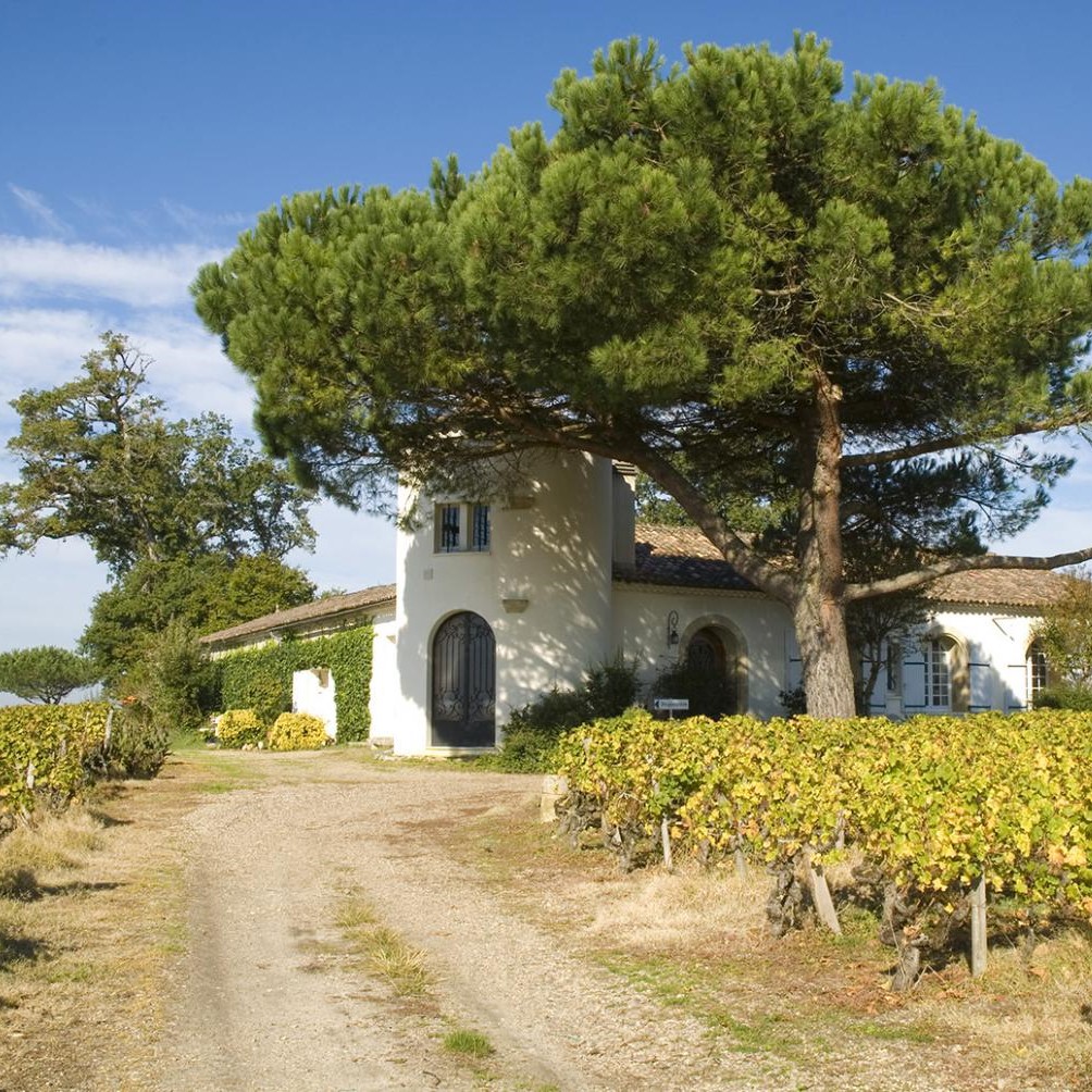 Château Lamothe Despujols — photo 4