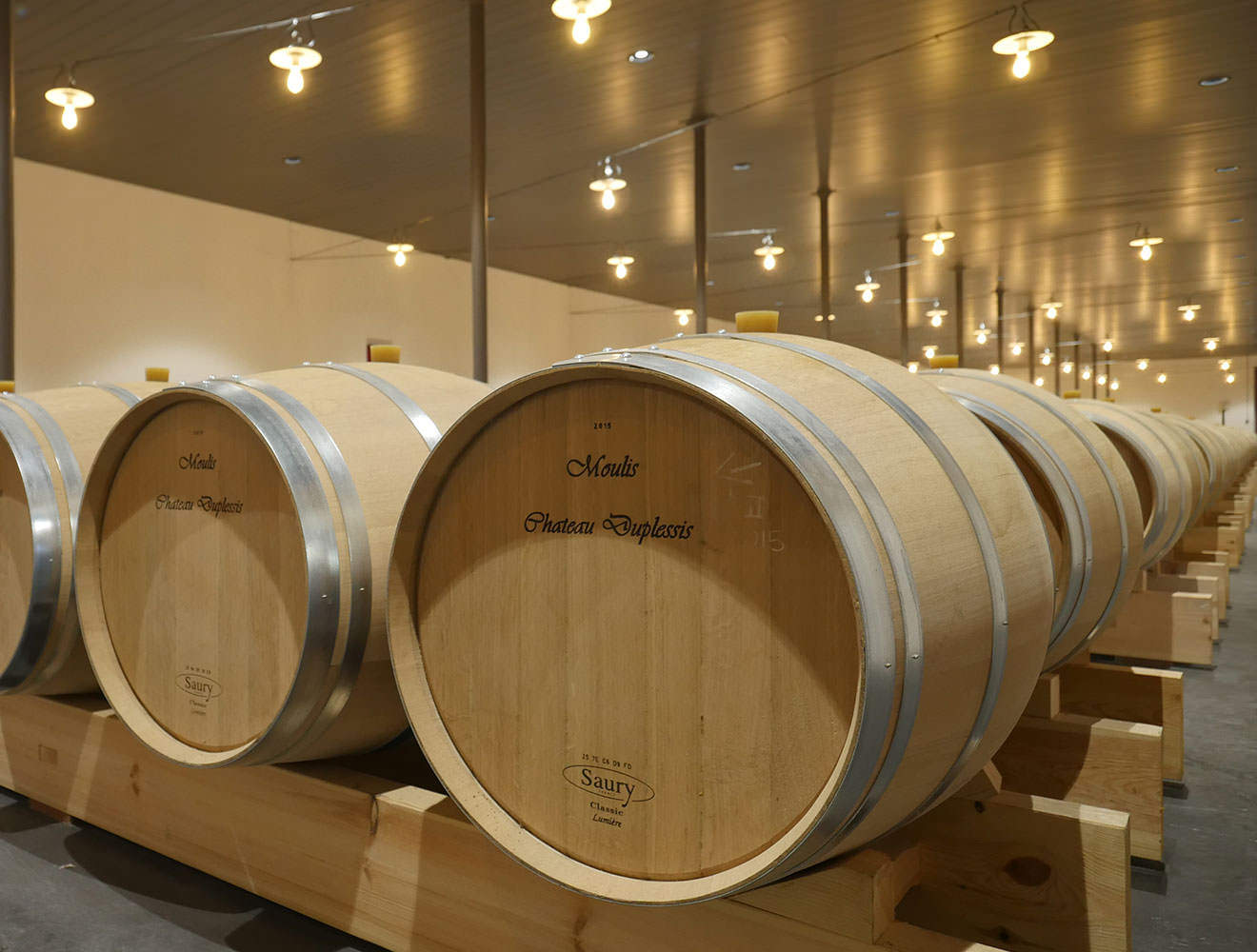 Château Duplessis — photo 11