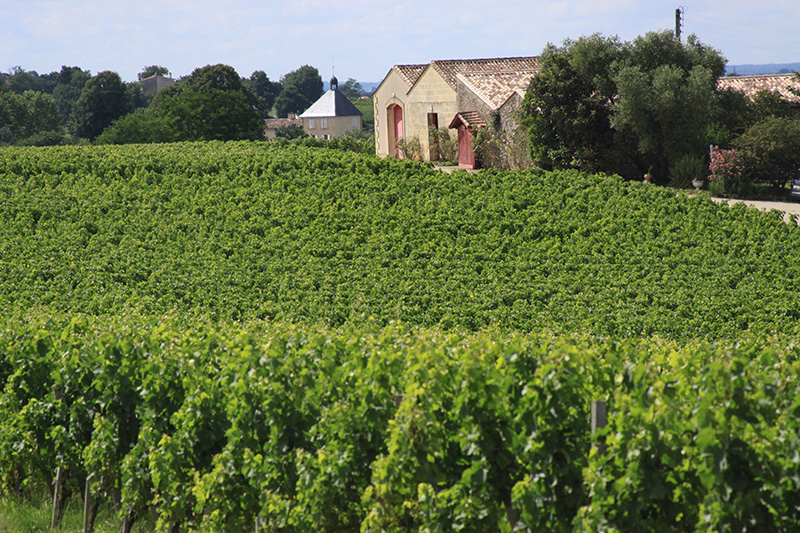 Château Haut Veyrac - Saint-Émilion Grand Cru