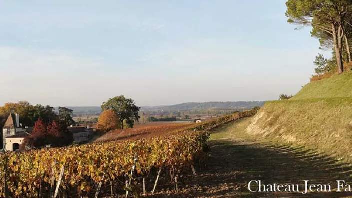 Château Jean Faux — photo 4
