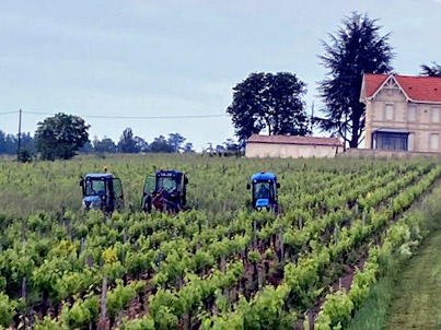 Château de Brandey — photo 2