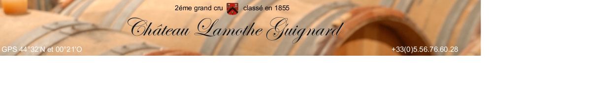 Château Lamothe-Guignard - Sauternes