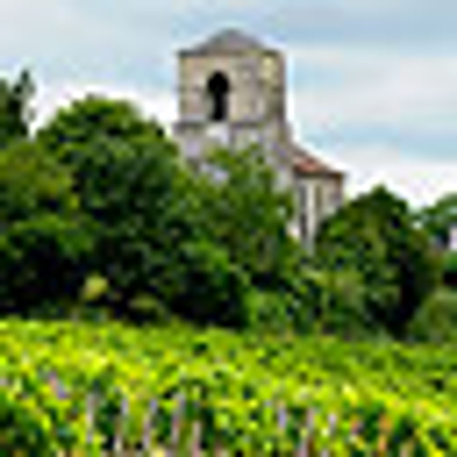 Clos des Religieuses — photo 4
