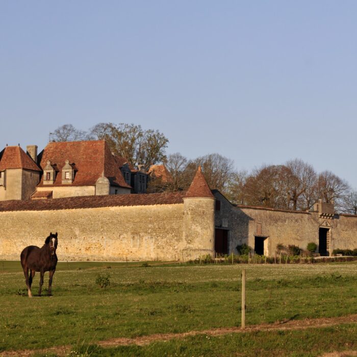 Château Le Grand Verdus