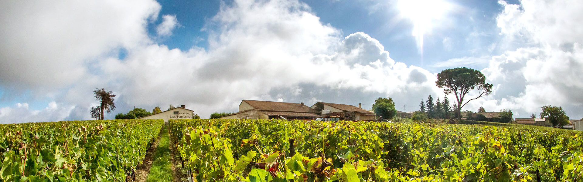 Château Lion Perruchon