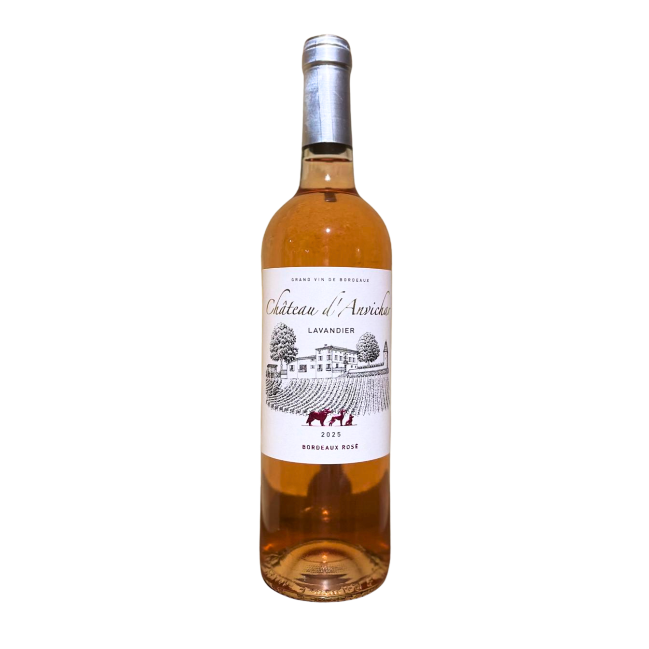 Château d'Anvichar — photo 4