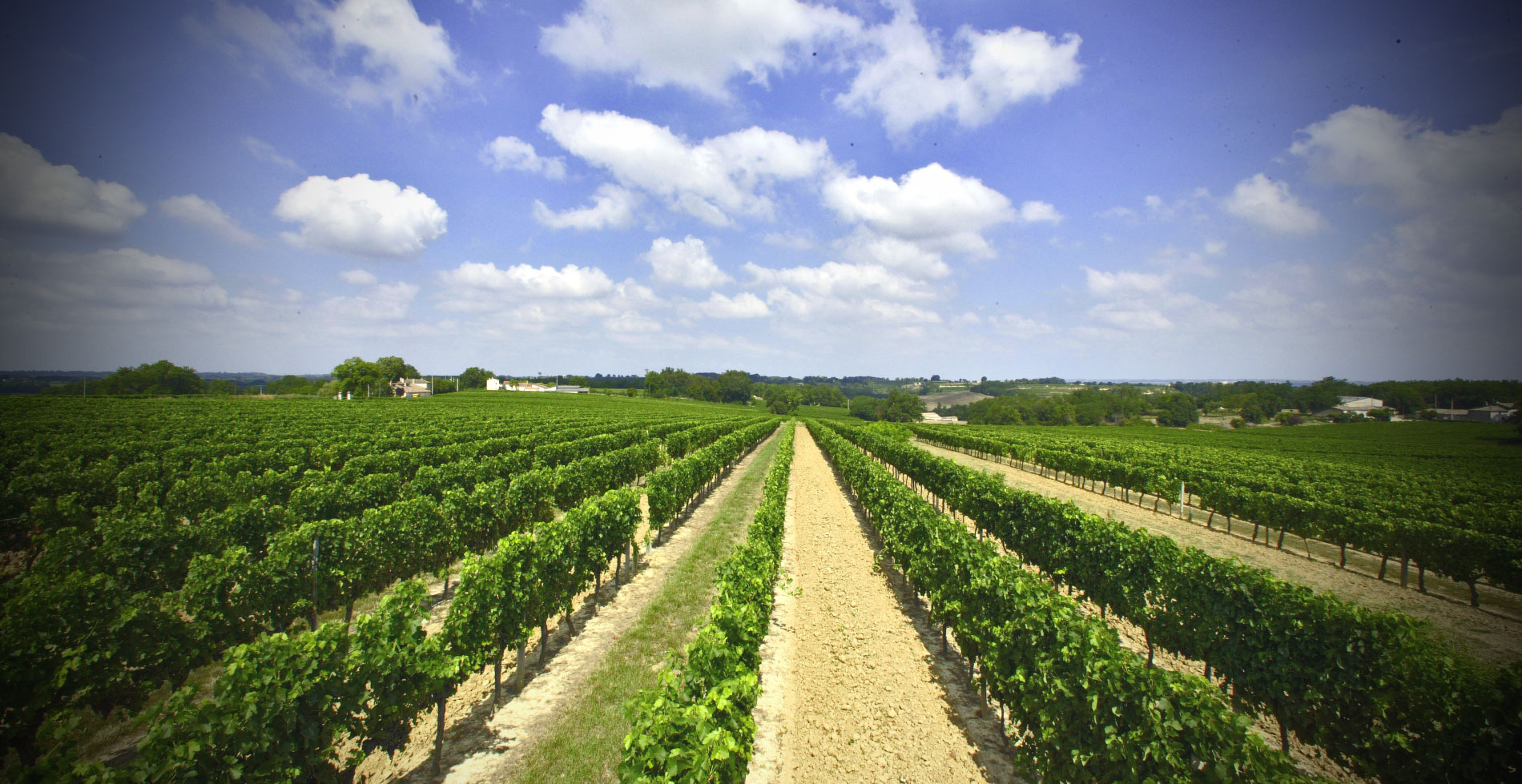 Château le Tros