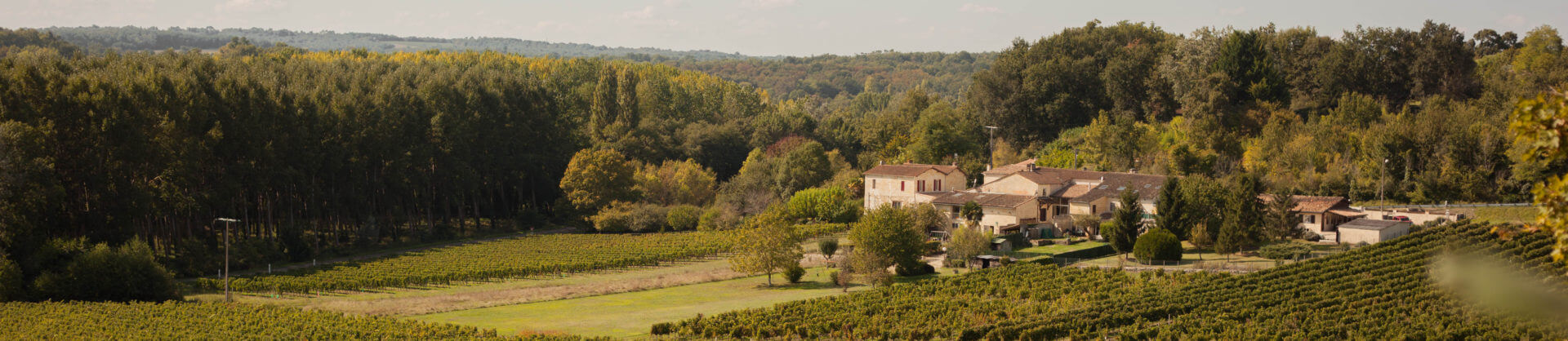 Château le Tros — photo 8
