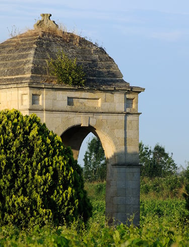 Château de Barbe — photo 2