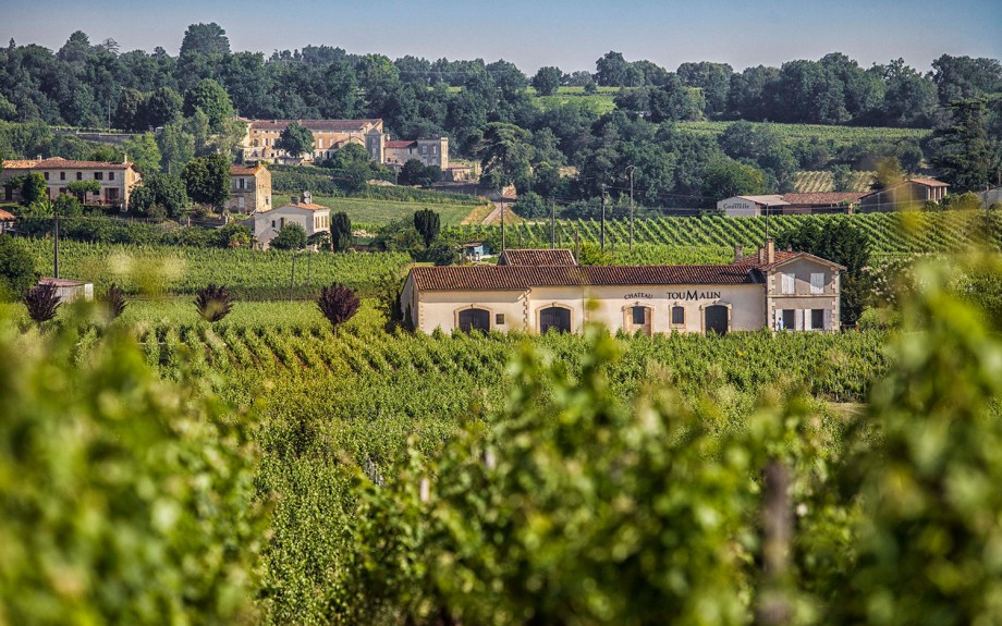 Clos Toumalin — photo 7
