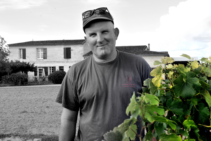 Laurent - rose cotes rol
