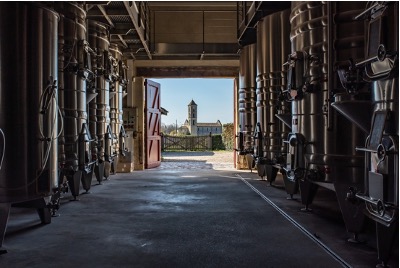 Château Berrouet — photo 3