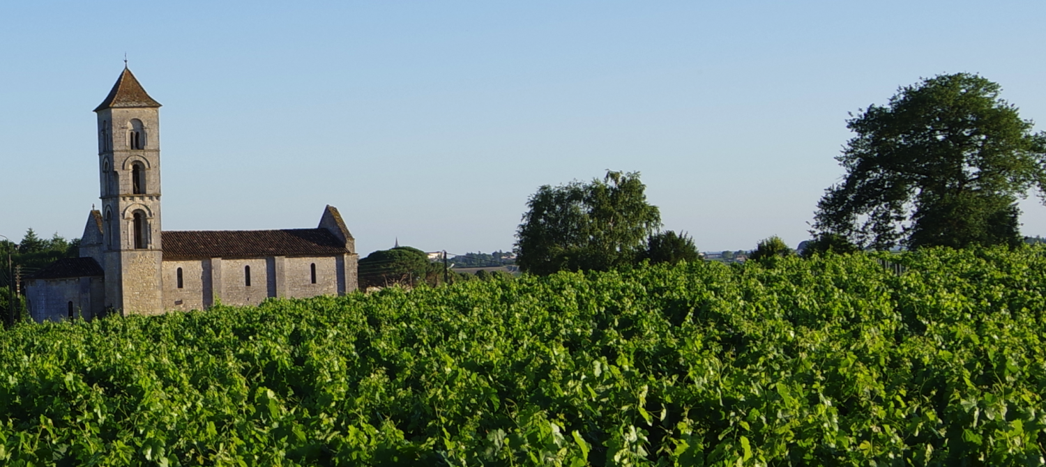 Château Berrouet - Montagne-Saint-Émilion