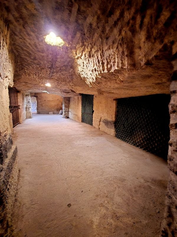 Château Fleur de Roques — photo 2