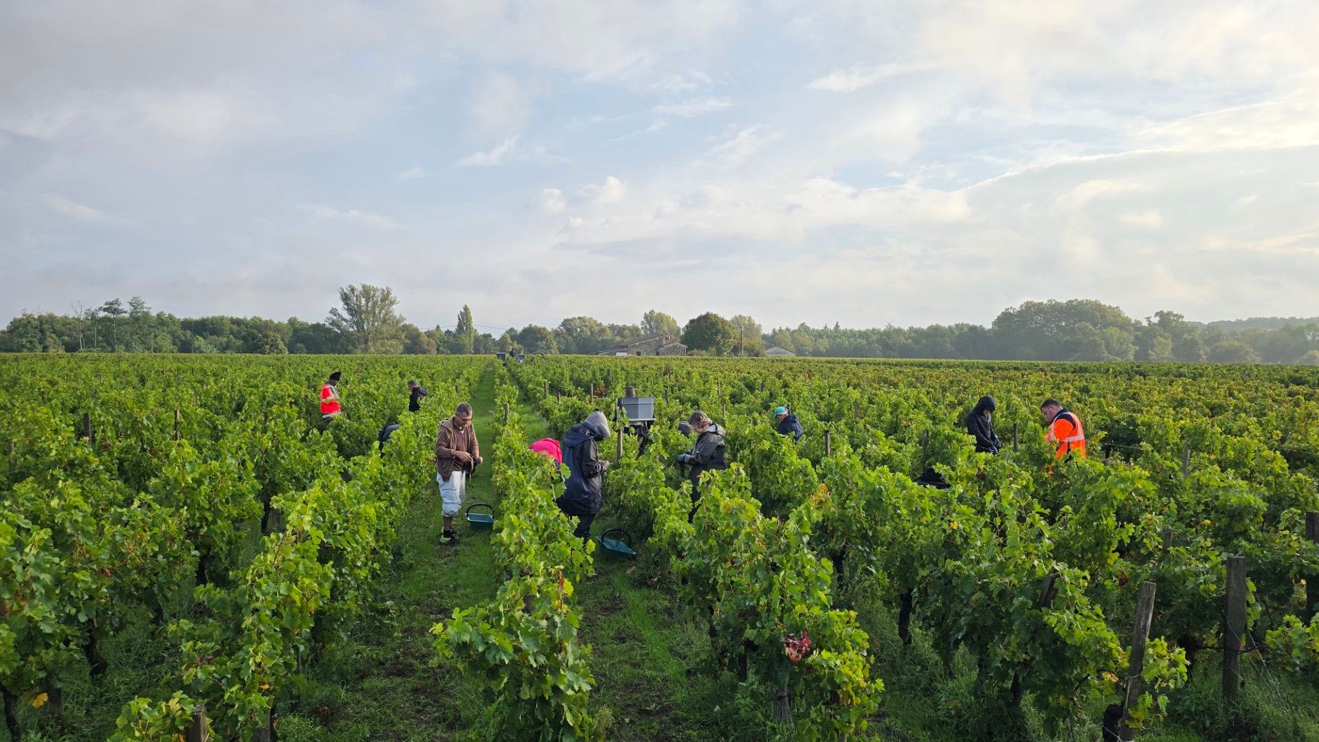 Clos du Pelerin