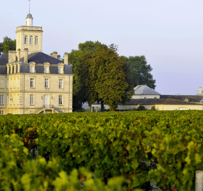 Château Larose Trintaudon — photo 5