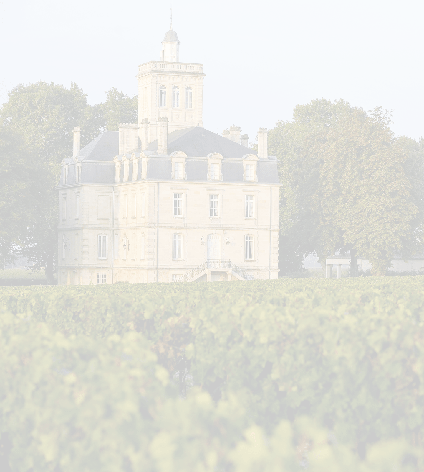 Château Larose Trintaudon — photo 2