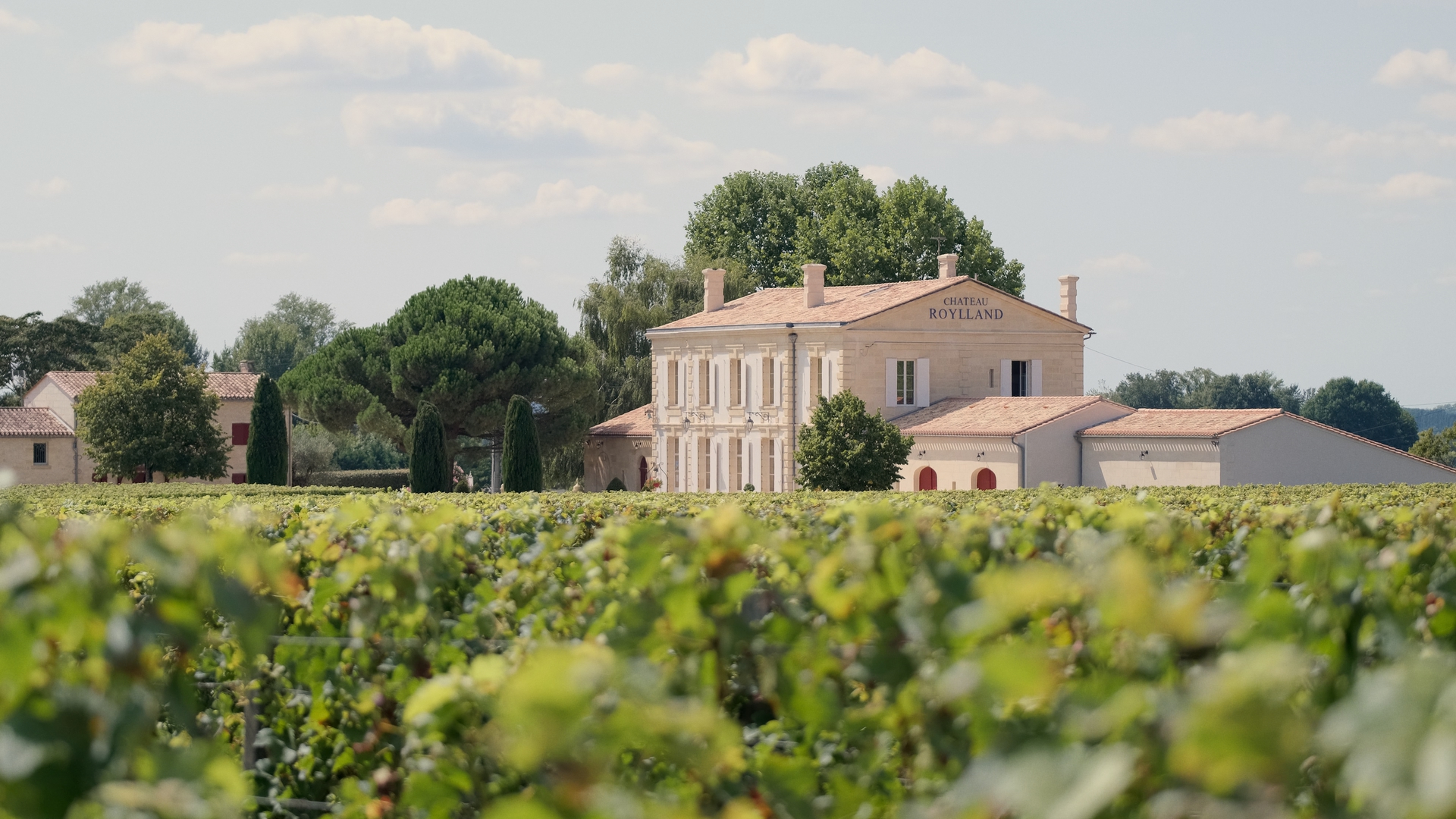 Château Roylland — photo 3