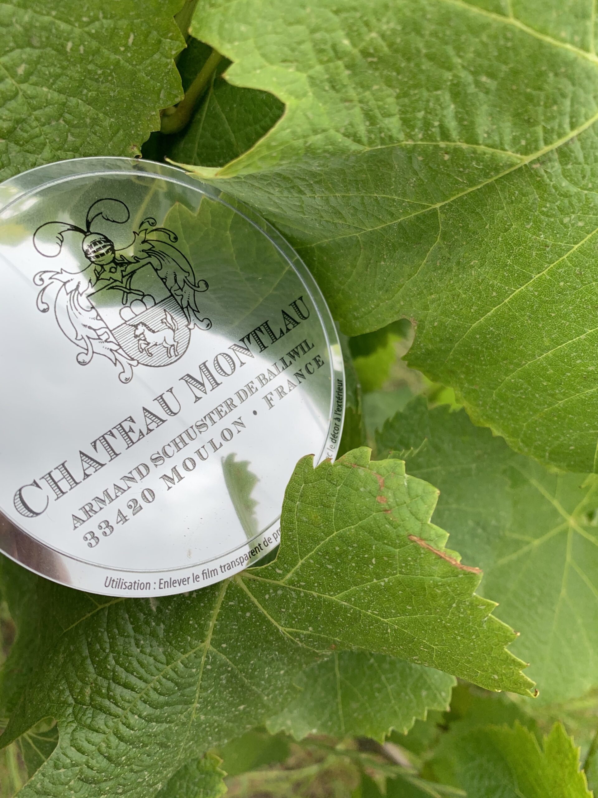 Château Montlau