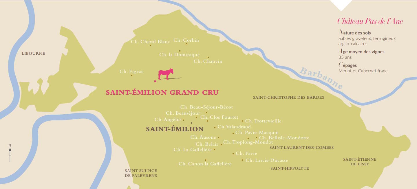 Château Pas de l'Ane — photo 3