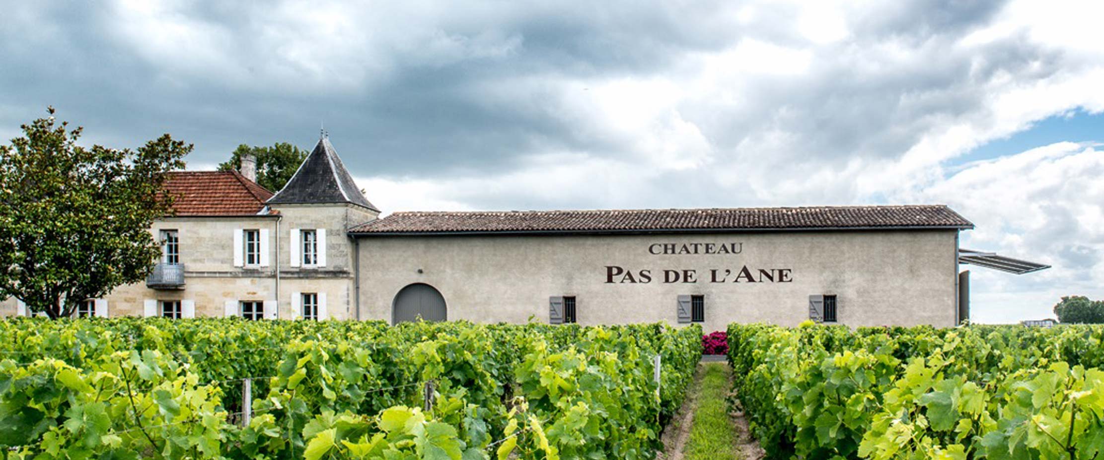 Château Pas de l'Ane — photo 2