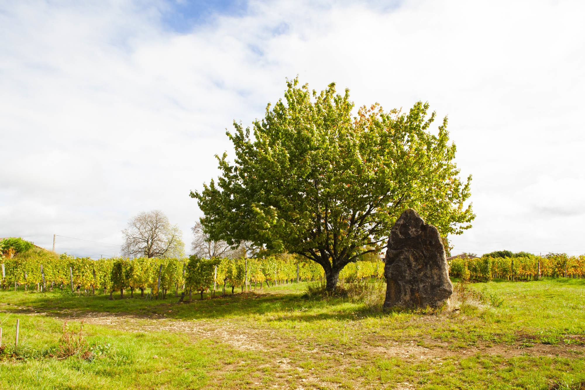 Clos Puy Arnaud — photo 3