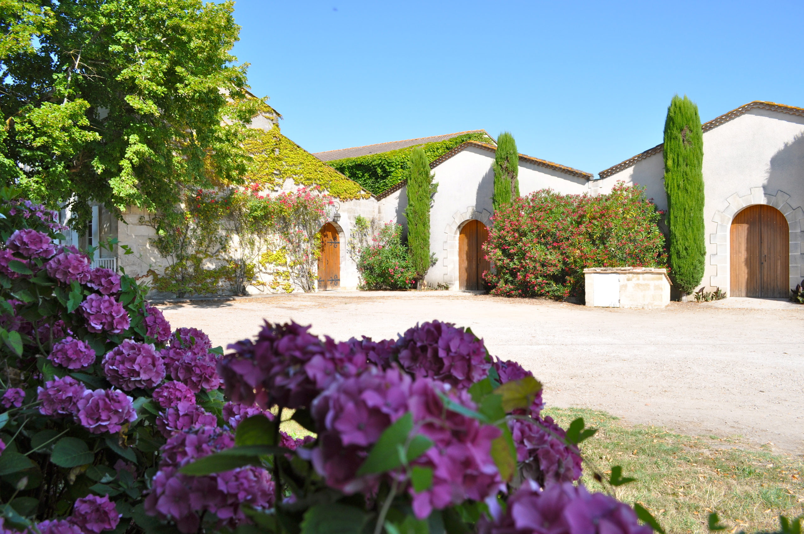 Château Juzan - Lussac-Saint-Émilion