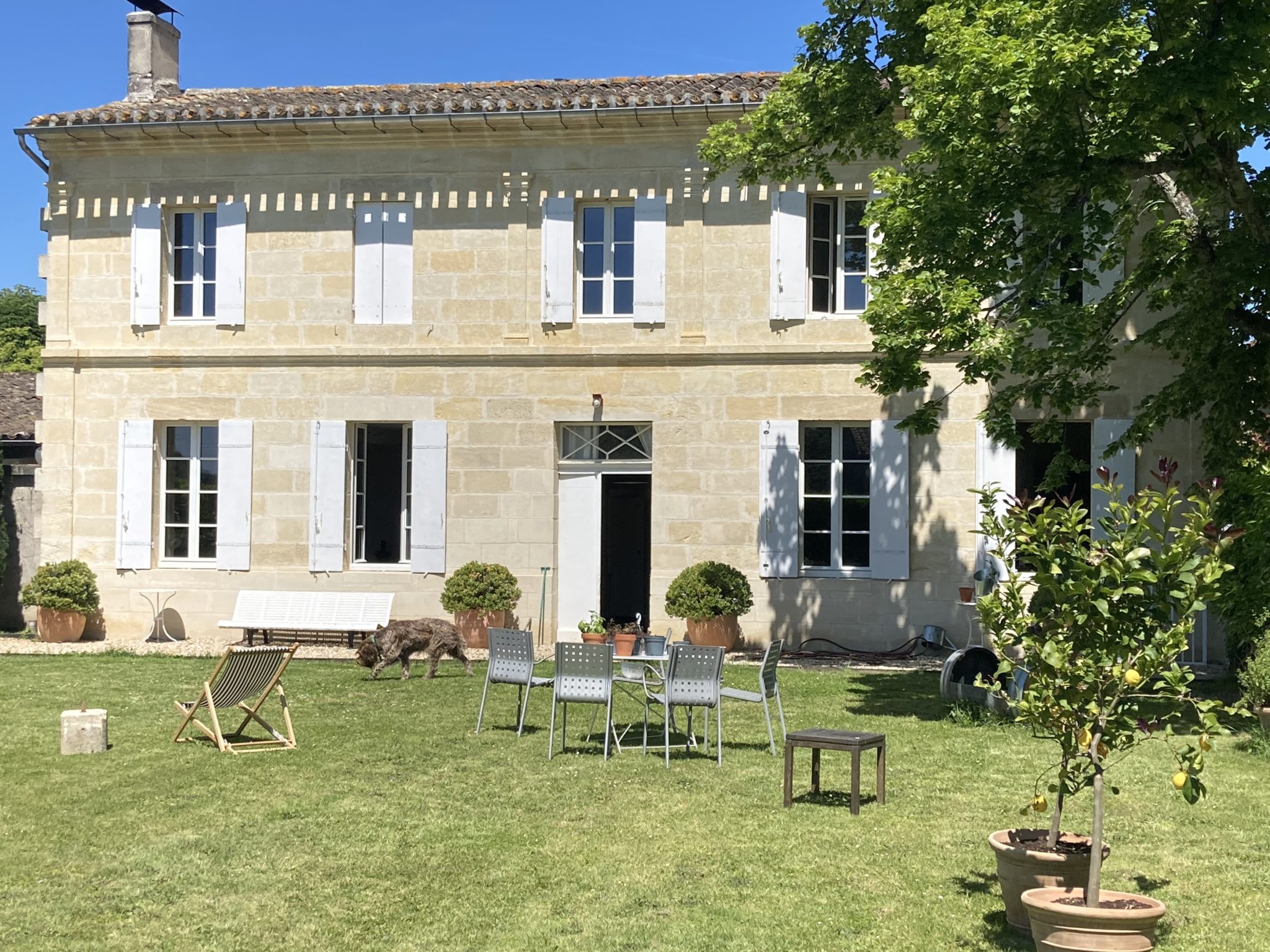 Château Juzan — photo 4