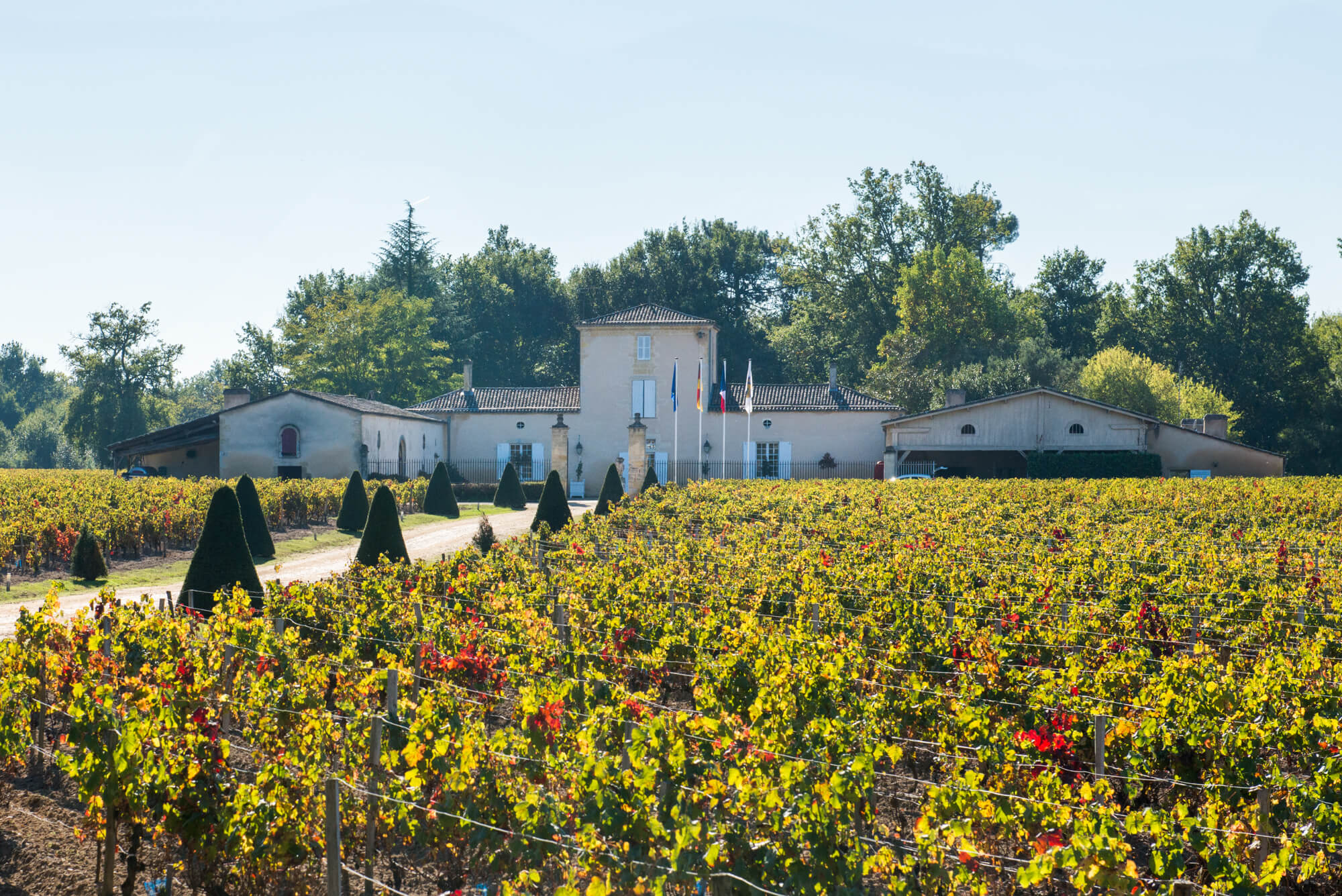 Château du Grand Bos