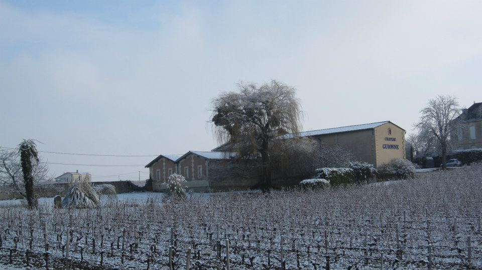 Château Guionne - Côtes de Bourg