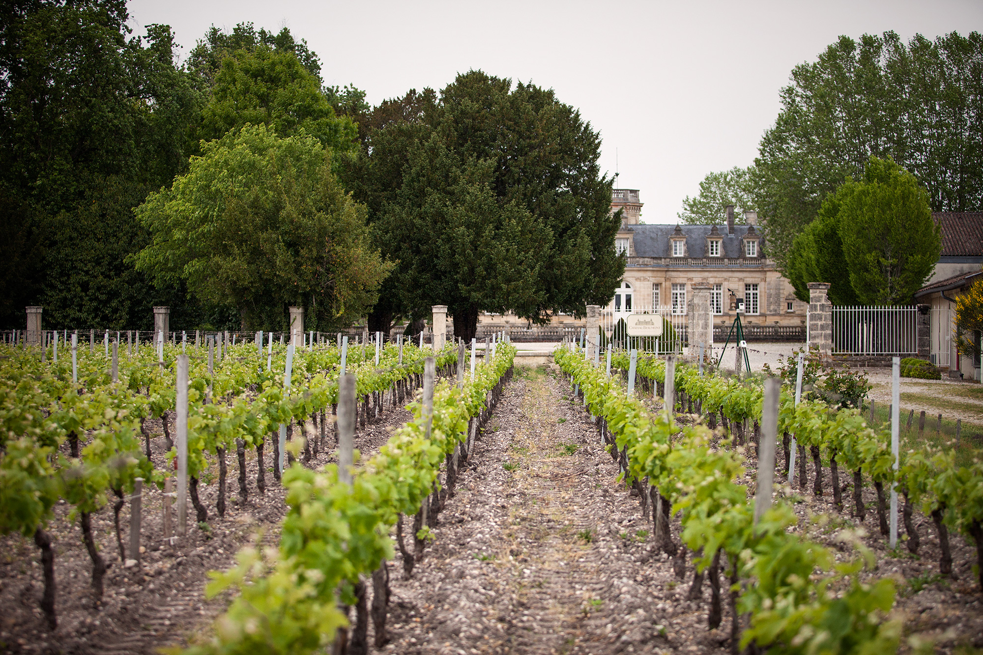 Chateau Beaumont, une viticulture raisonnée
