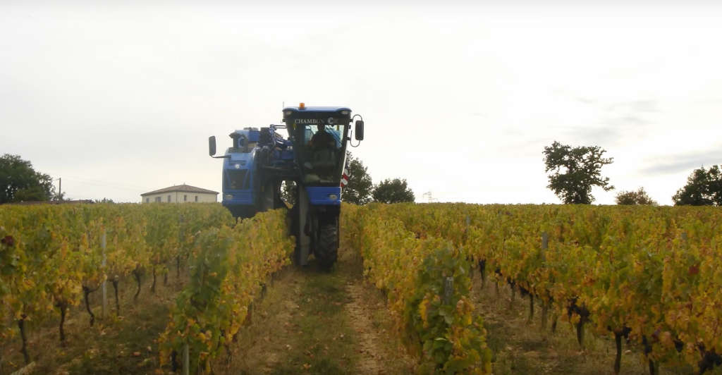desclaux,cadillac,carignan,bordeaux,vigne