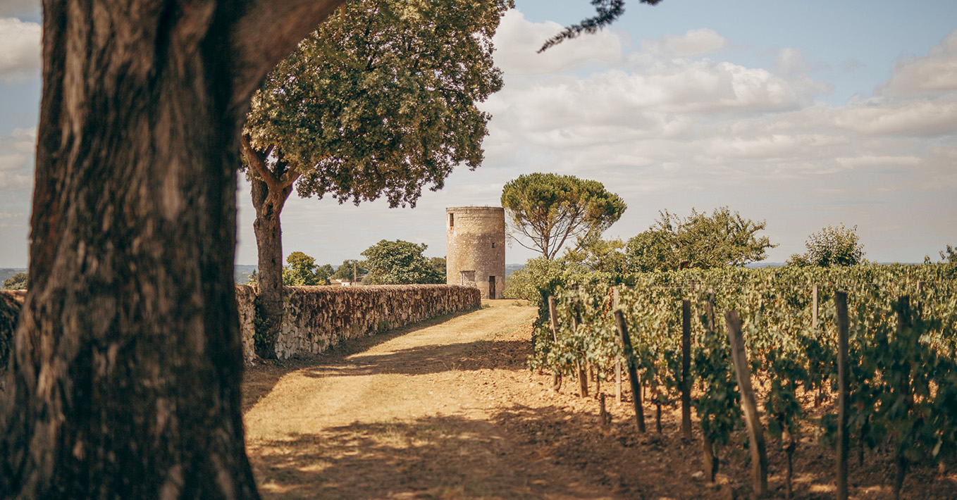 Château Berliquet - Saint-Émilion Grand Cru