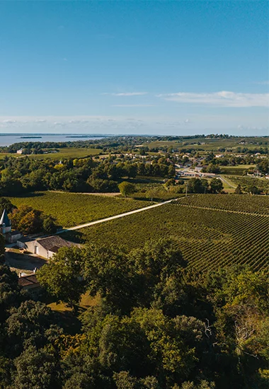 Château Escalette — photo 5
