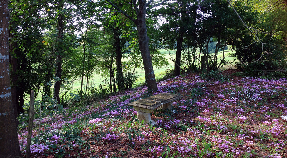 Château Lescaneaut — photo 4
