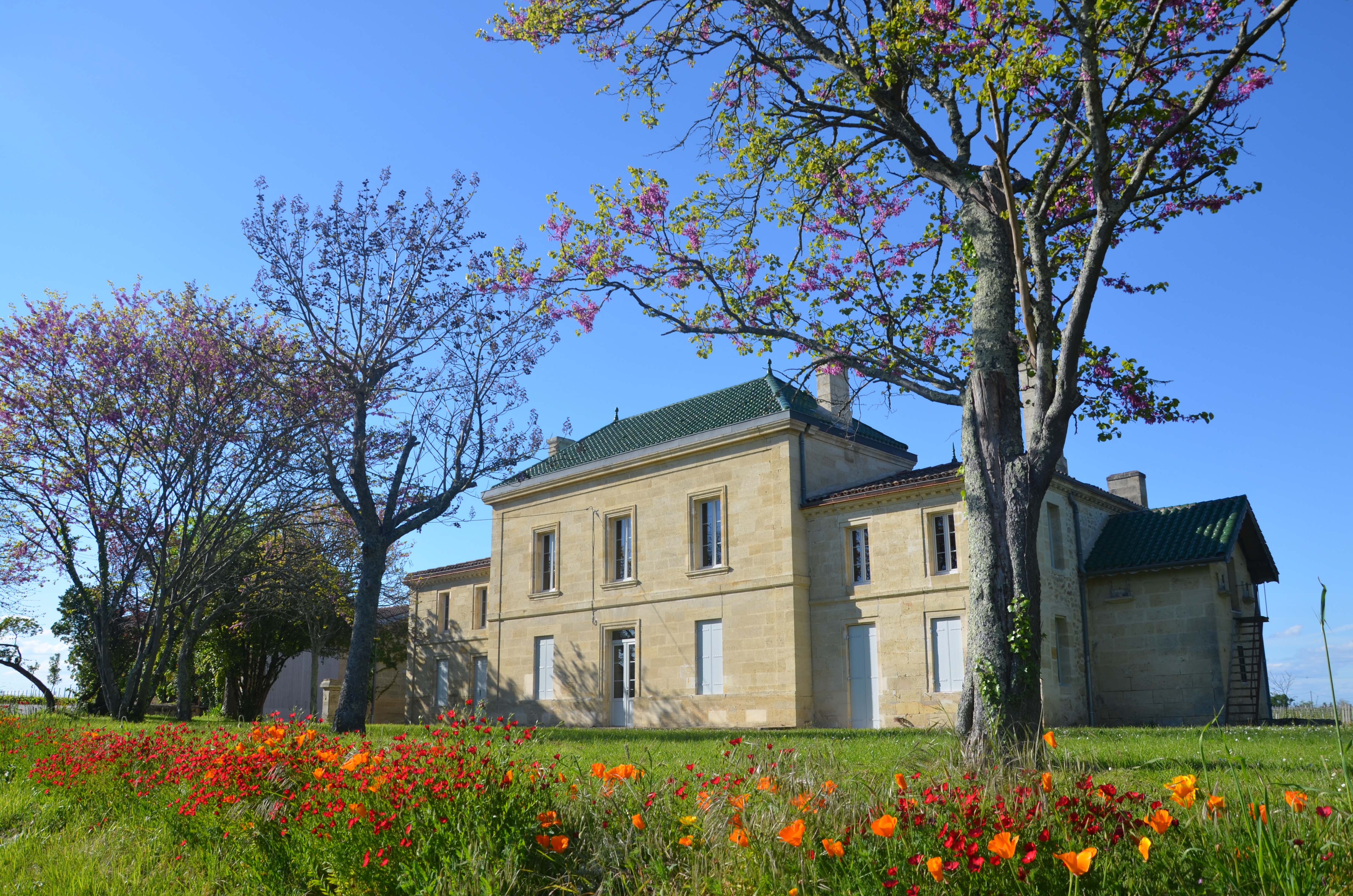 Château Boutisse — photo 7