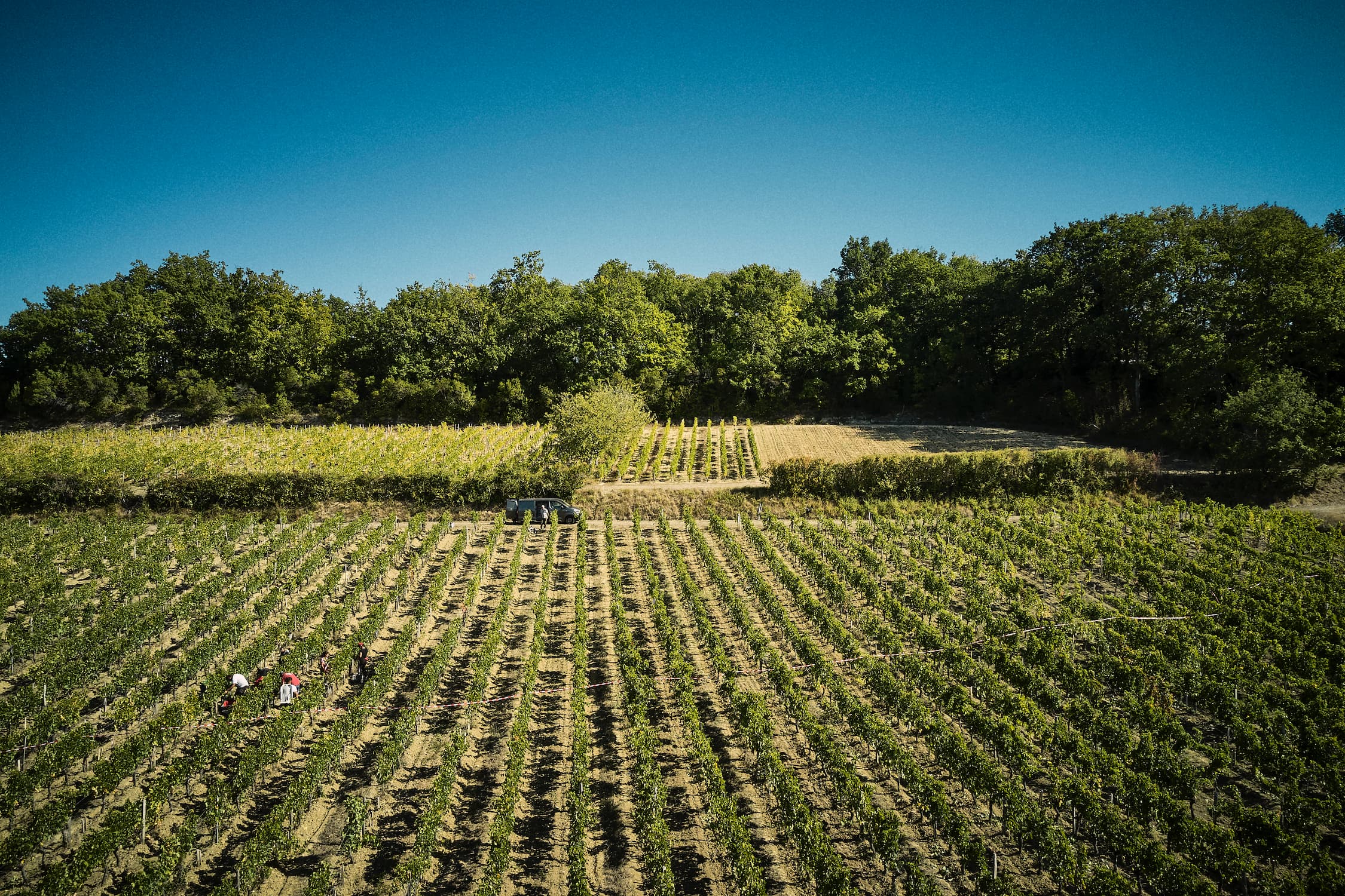 Domaine Baudon — photo 7