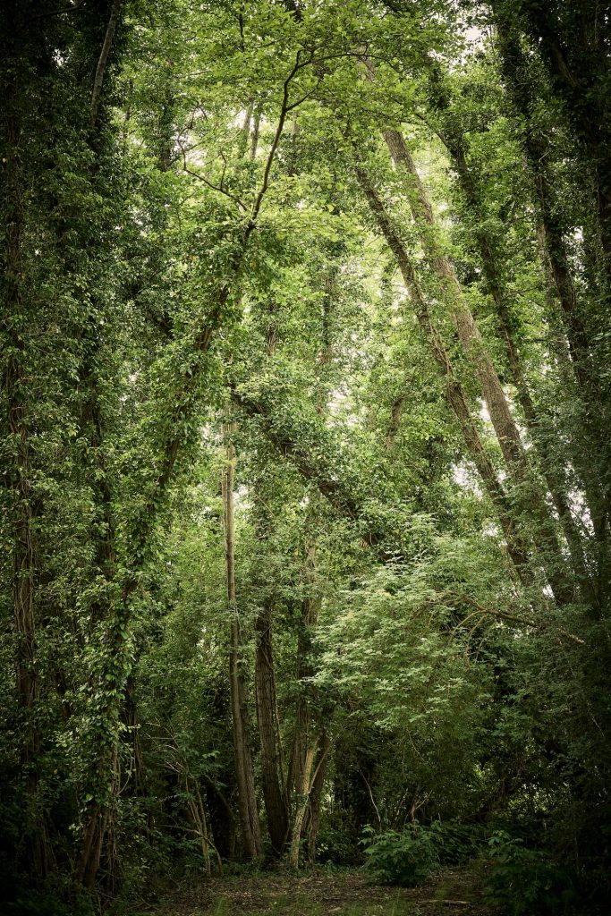 Domaine Baudon — photo 4