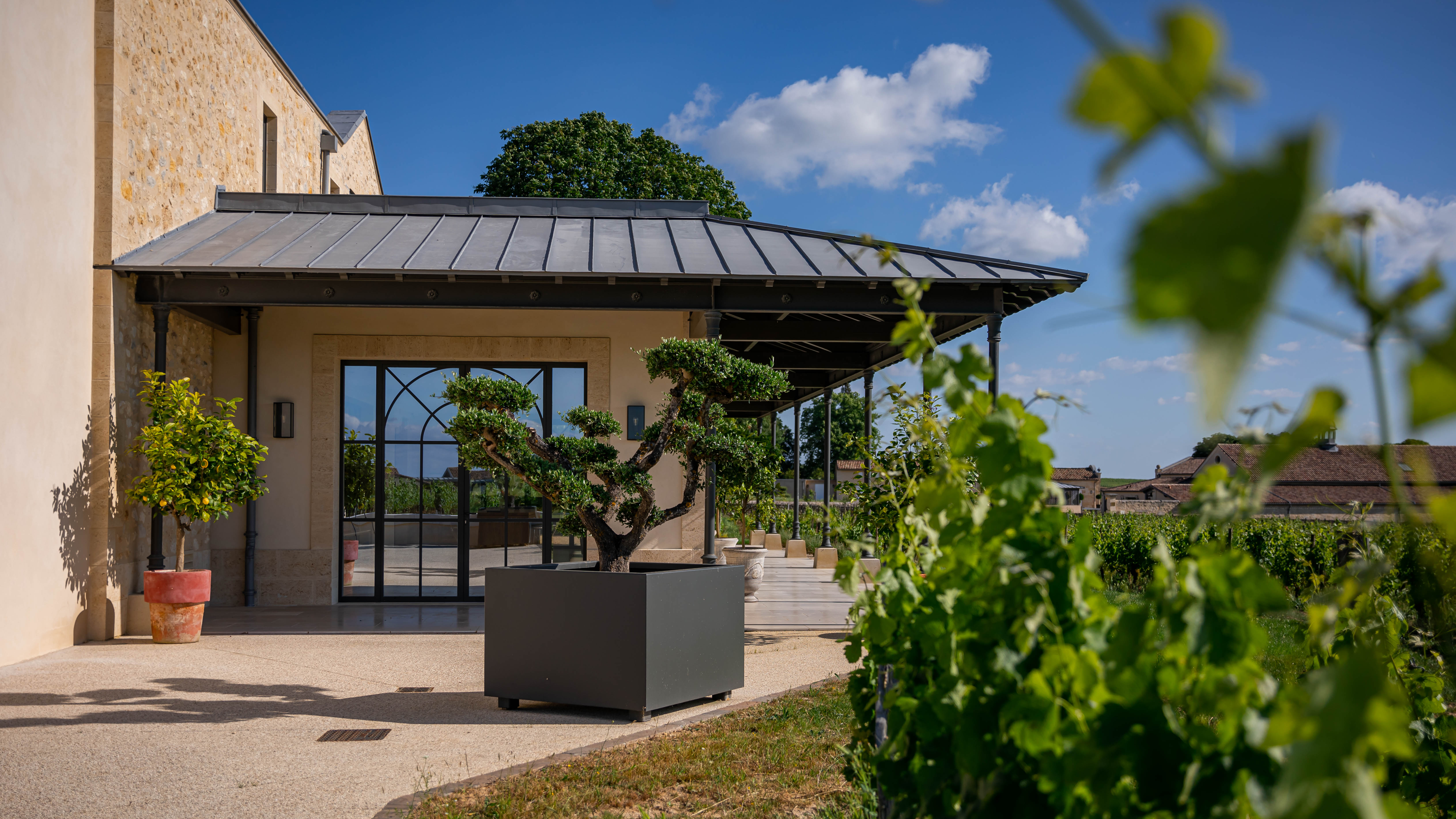 Château Sansonnet - Saint-Émilion
