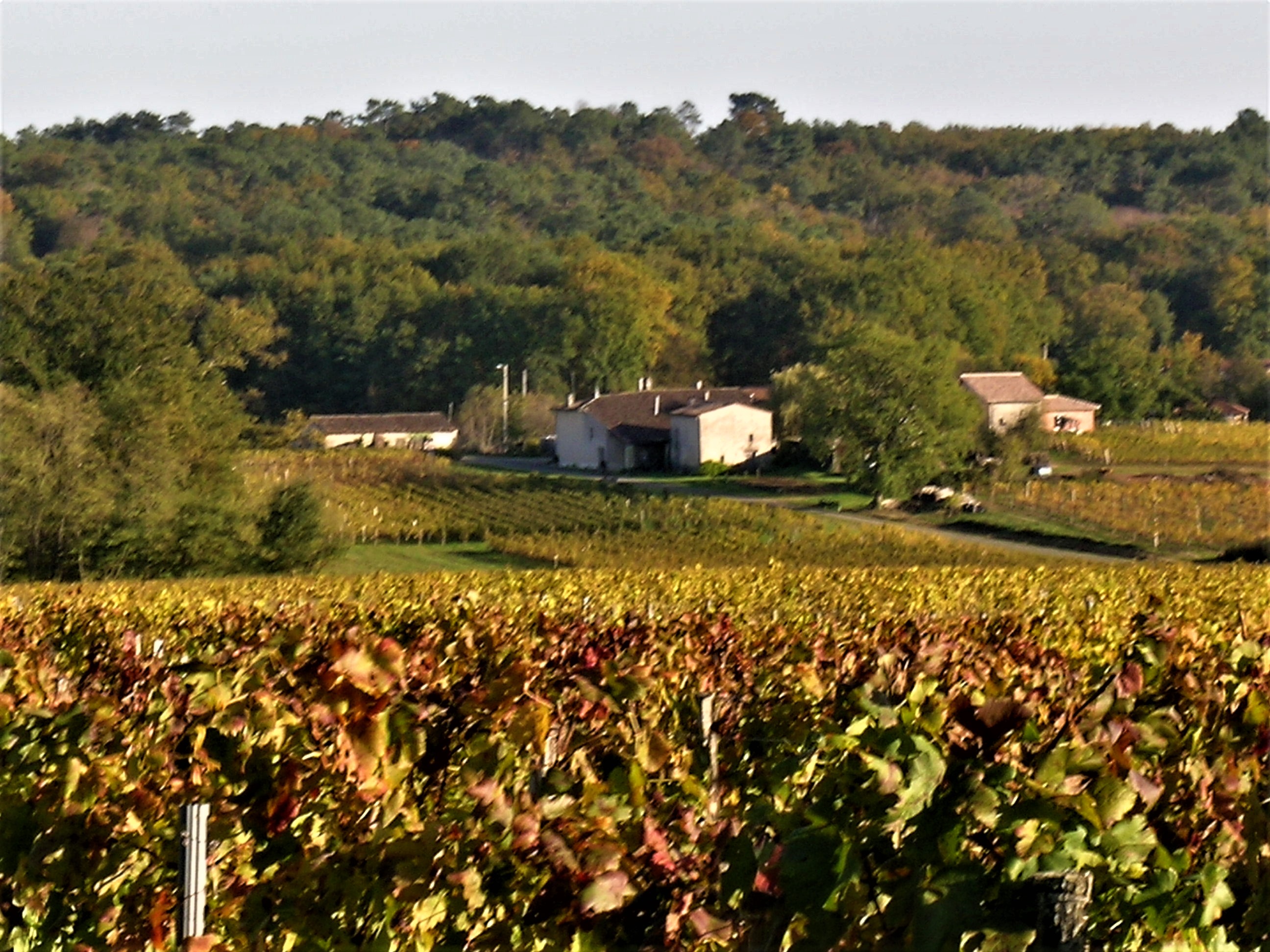 Château Haut Nadeau
