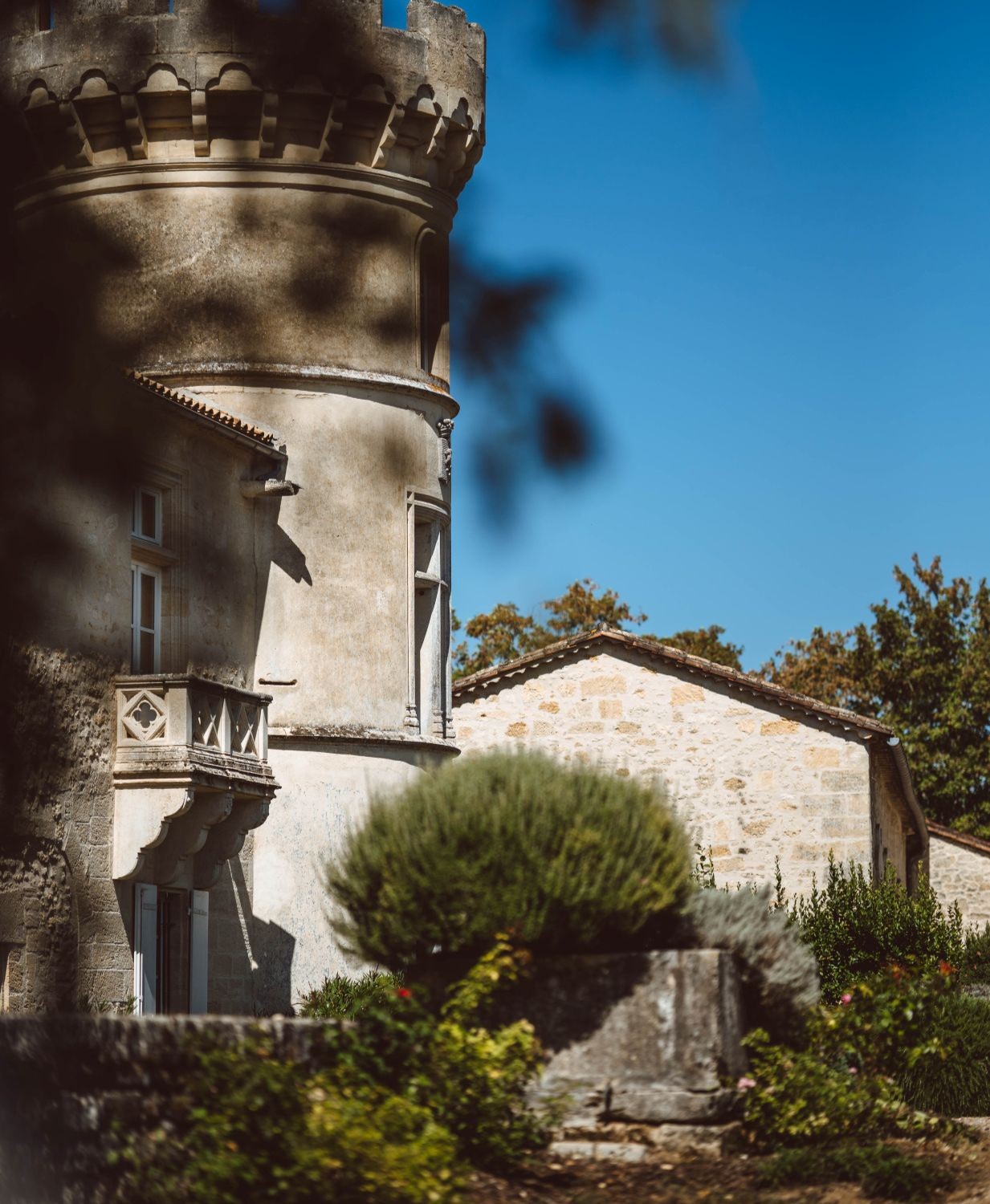 Visite du Château La Pierrière suivie d'une dégustation