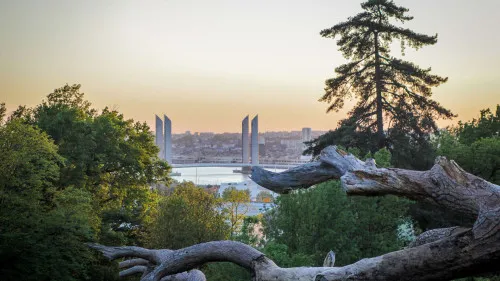 Château Hourtin-Ducasse — photo 8