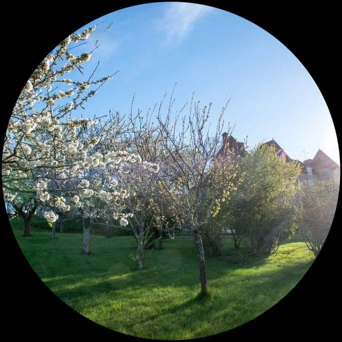 Château de Chelivette — photo 11